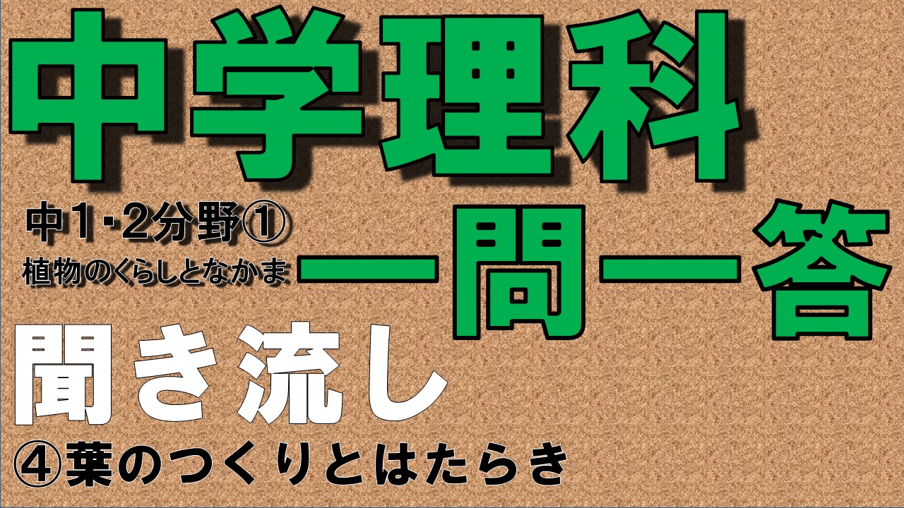 中１理科 一問一答 ２分野 葉のつくりとはたらき 中学生のための学習サイト ｂｙてらこや